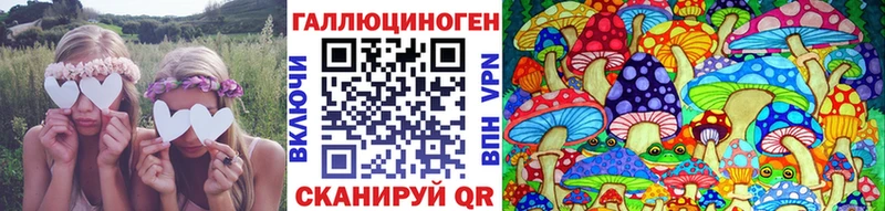 Галлюциногенные грибы Psilocybe  дарнет шоп  OMG зеркало  Чердынь 