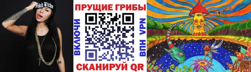 Галлюциногенные грибы Psilocybine cubensis Чердынь